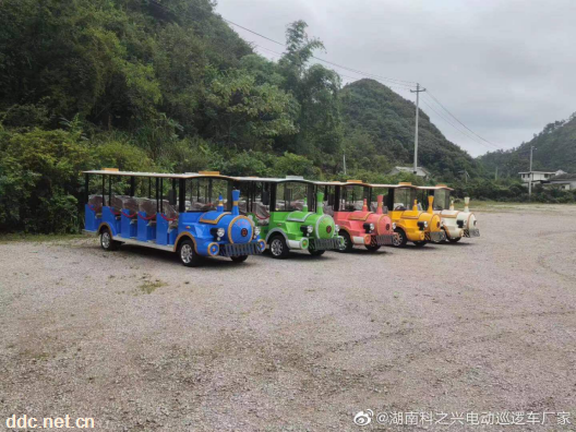 电动观光车。燃油观光车